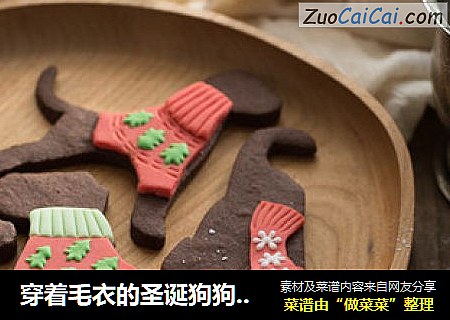 穿着毛衣的圣诞狗狗饼干