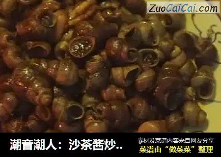 潮音潮人：沙茶酱炒田螺