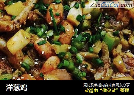 洋葱鸡