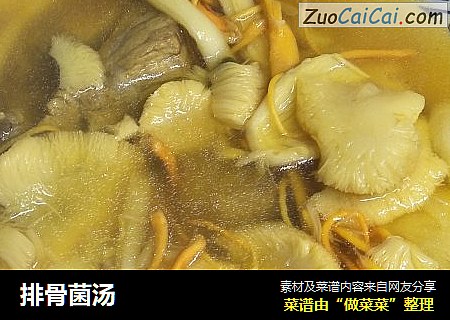 排骨菌汤