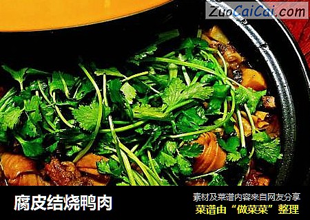 腐皮结烧鸭肉