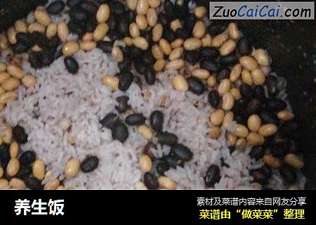 养生饭