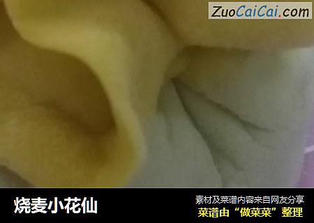 烧麦小花仙