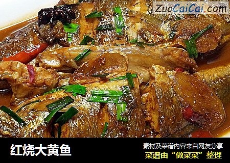 红烧大黄鱼