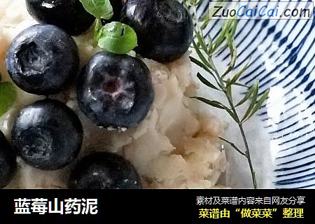 蓝莓山药泥