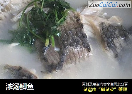 浓汤鲫鱼