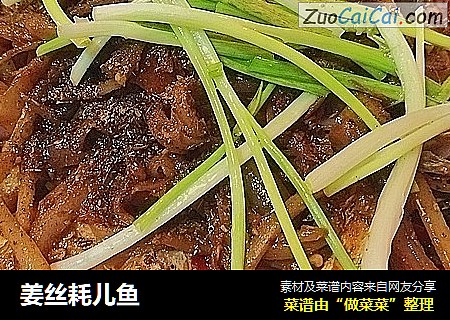 姜丝耗儿鱼