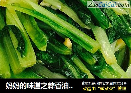 妈妈的味道之蒜香油麦菜