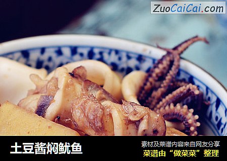 土豆酱焖鱿鱼