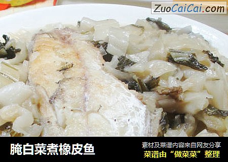 腌白菜煮橡皮鱼