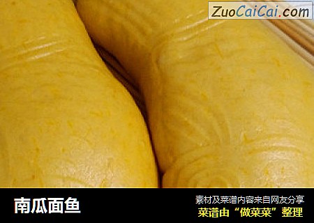 南瓜面鱼