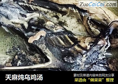 天麻炖乌鸡汤