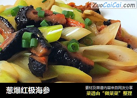 葱爆红极海参
