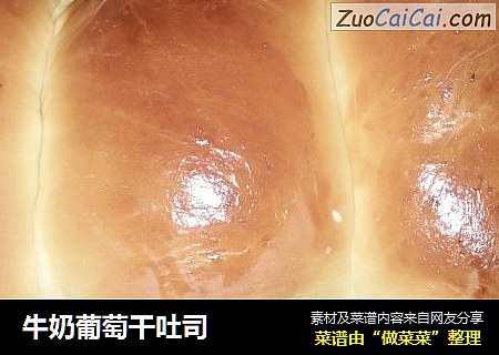 牛奶葡萄干吐司