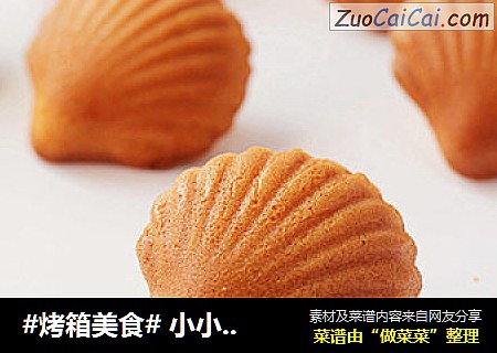玛德琳蛋糕cover-5