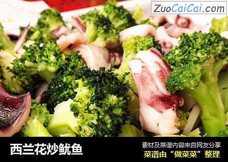 西兰花炒鱿鱼