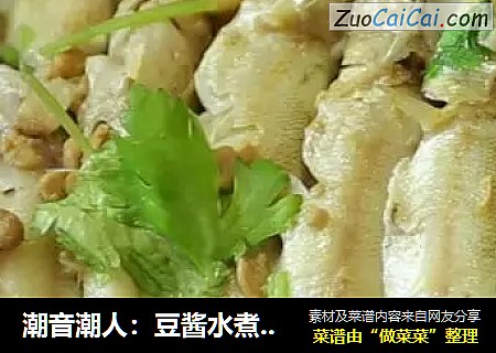 潮音潮人：豆酱水煮沙尖鱼