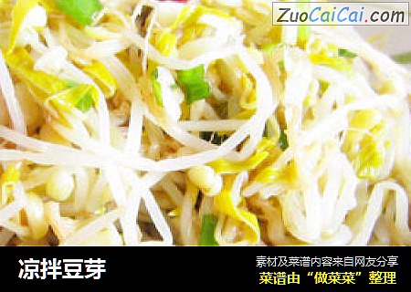 凉拌豆芽