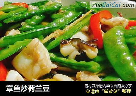 章鱼炒荷兰豆