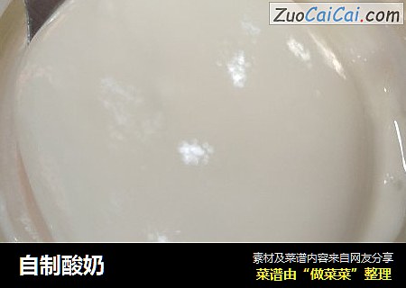 自制酸奶