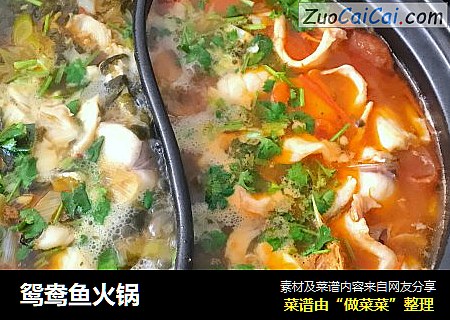 鸳鸯鱼火锅