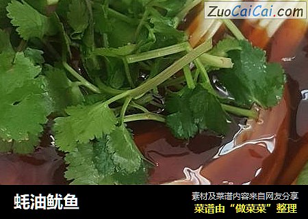 蚝油鱿鱼