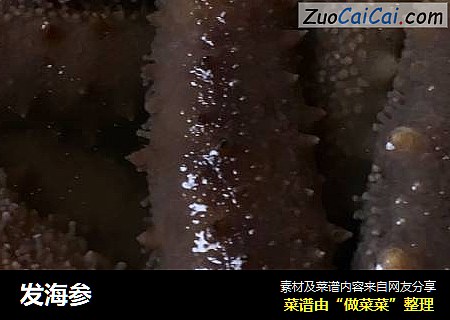 发海参