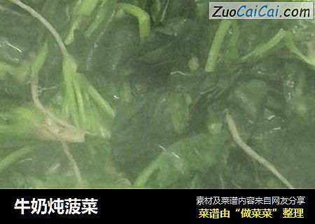 牛奶炖菠菜