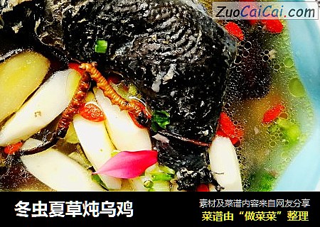 冬虫夏草炖乌鸡