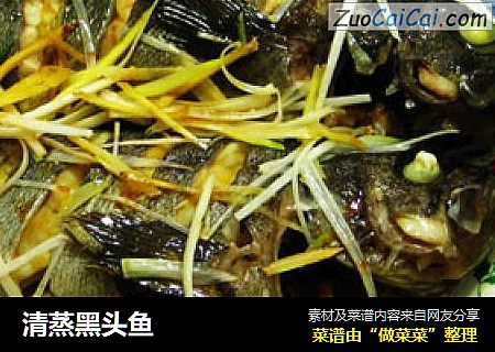 清蒸黑头鱼