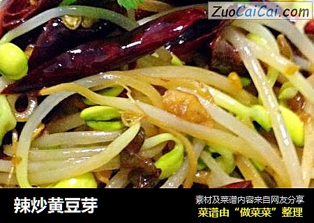 辣炒黄豆芽