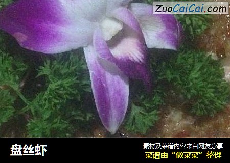 盘丝虾