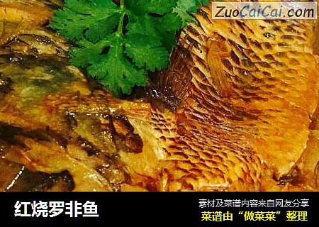 红烧罗非鱼