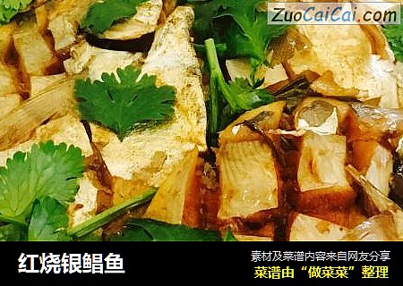 红烧银鲳鱼