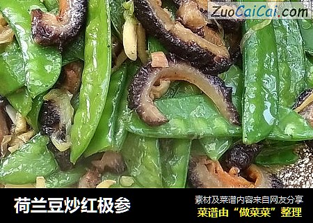 荷兰豆炒红极参