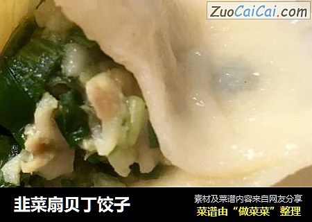 韭菜扇贝丁饺子