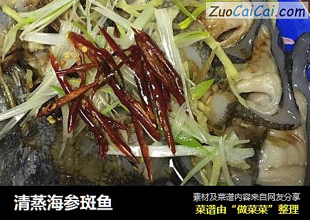 清蒸海参斑鱼