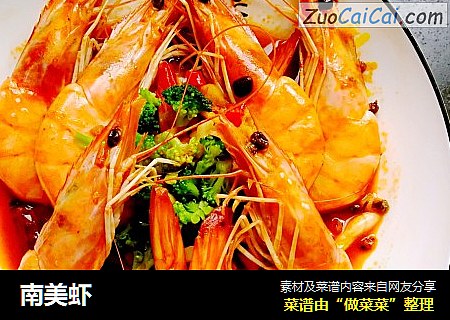 南美虾