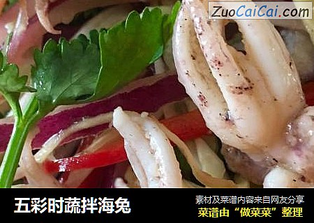 五彩时蔬拌海兔
