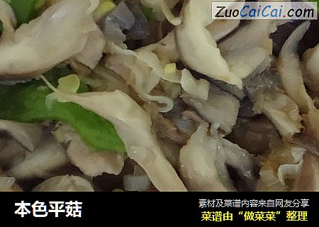 本色平菇