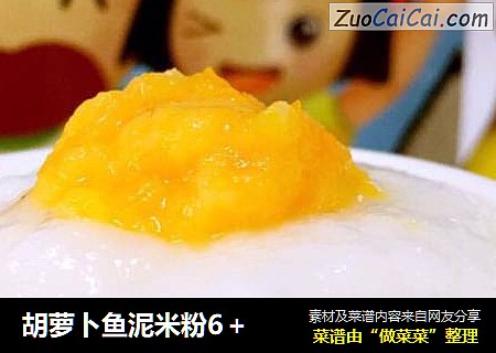 胡萝卜鱼泥米粉6＋