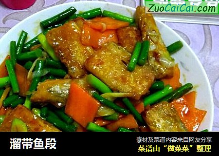 溜带鱼段