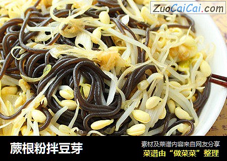 蕨根粉拌豆芽