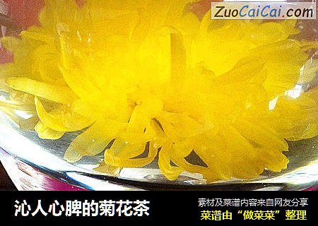 沁人心脾的菊花茶