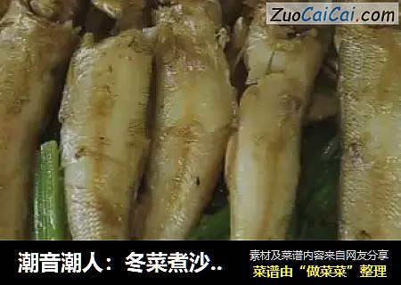 潮音潮人：冬菜煮沙尖鱼