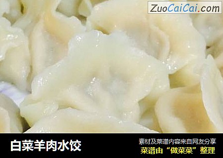 白菜羊肉水饺