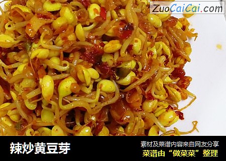 辣炒黄豆芽