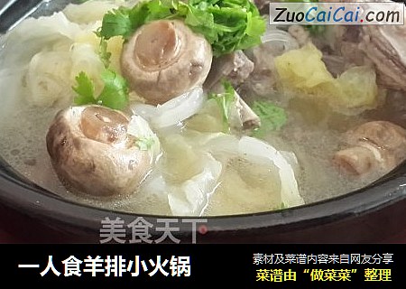 一人食羊排小火锅