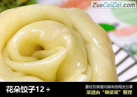 花朵饺子12＋