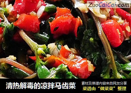 清热解毒的凉拌马齿菜